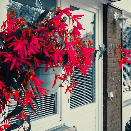 Zauberhaftes Altstadt-apartment アパート *