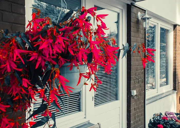Zauberhaftes Altstadt-apartment 公寓 *