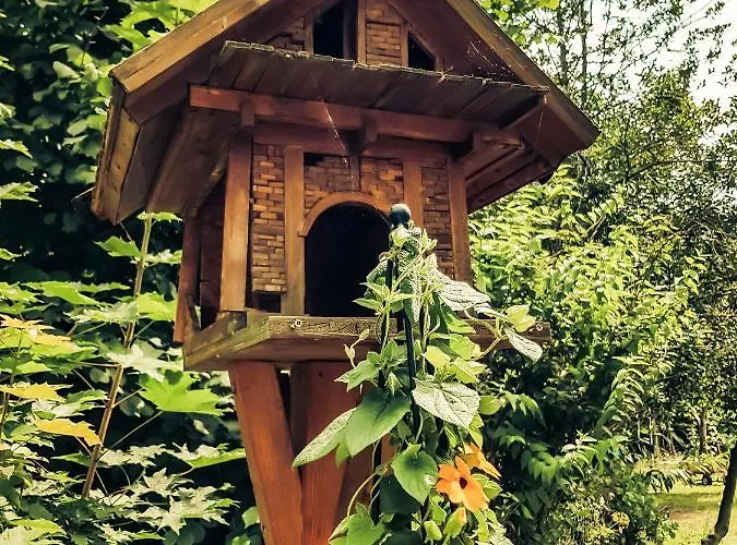 Zauberhaftes Altstadt-apartment 公寓 戈斯拉尔